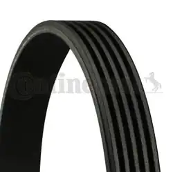 CONTINENTAL CTAM 5PK985 | Kanallı V Kayışı Opel Astra F 1.4 1.6 Fiat Tempra E-34 M-60
