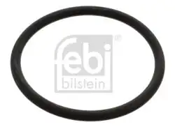 FEBI BILSTEIN 17966 | O Rıng Termostat İçin Amarok 4 Motıon (S1) Bora (1J) Bora 4 | 10 Adet