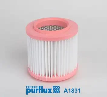 PURFLUX A1831 | Hava Filtresi Audi A8 4e2 4e8 S8 Quattro 06 10 6 0 TDI 03 07