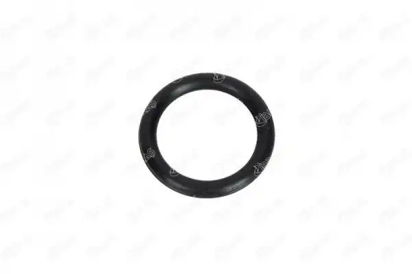 IBRAS 19700 | Emme Manifold Conta Takımı Berlingo II Berlingo III C4 II Ds4 C3 III C2 C3 C4 C5 P206 P207