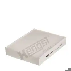 HENGST E2991LI | Klima Filtresi F-20 / 30