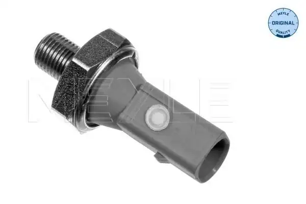 MEYLE 1008009068 | Yağ Müşürü VW Caddy II Skoda Superb T5 2 5tdi Gri