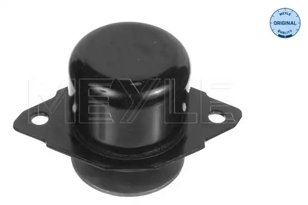 MEYLE 1001990027 | Şanzıman Kulağı VW Golf III Vento Passat Abf Aaa 1z