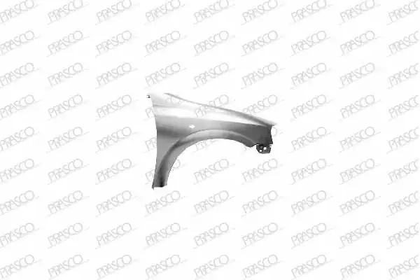 PRASCO 6102364 | Sağ Ön Çamurluk AST G