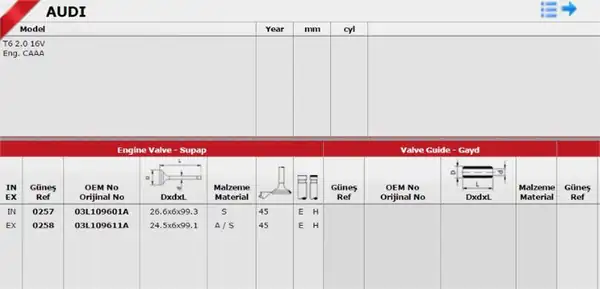 GÜNEŞ 0257-0258 | Subap Takım Polo Golf6 Caddy Passat Jetta 1 2 1 6 TDI 16v