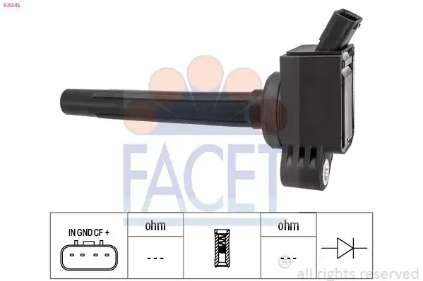 FACET 9-6545 | Ateşleme Bobini Toyota C-Hr 1 2 2016