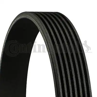 Continental Ctam 7pk1290 Kanallı Kayış VW Golf 2 9 Vr6 12v 91 99 Passat 88 97 Ford Mercedes Nissan 78388