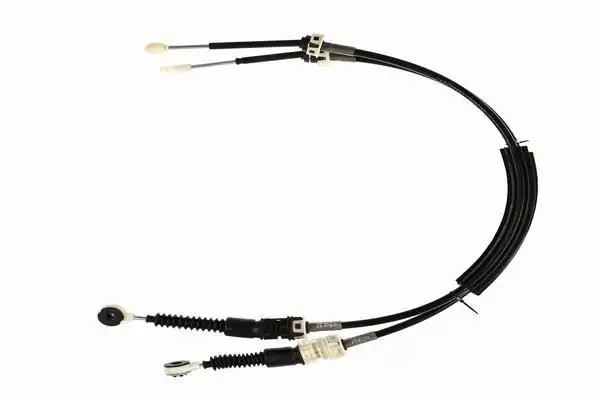 CAVO 1314626 | Vites Teli Dokker Lodgy 1 5 dCi 10 852710
