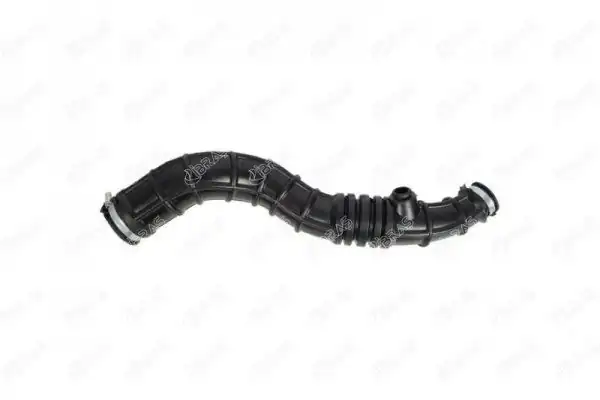 IBRAS 11966 | Hava Filtre Hortumu Clio III 1 5 dCi 04 788380