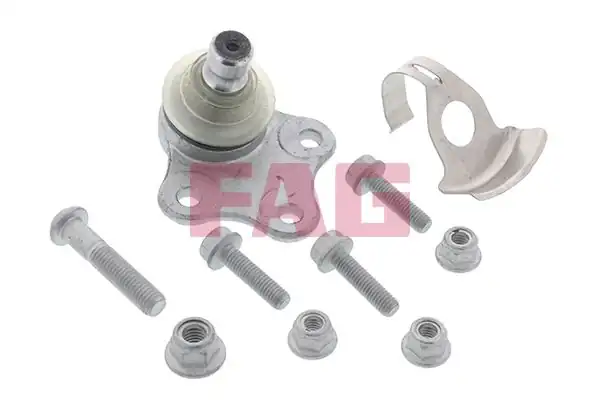 FAG 825010510 | Rotil Fiesta Fusion 02 Mazda 2 03 07