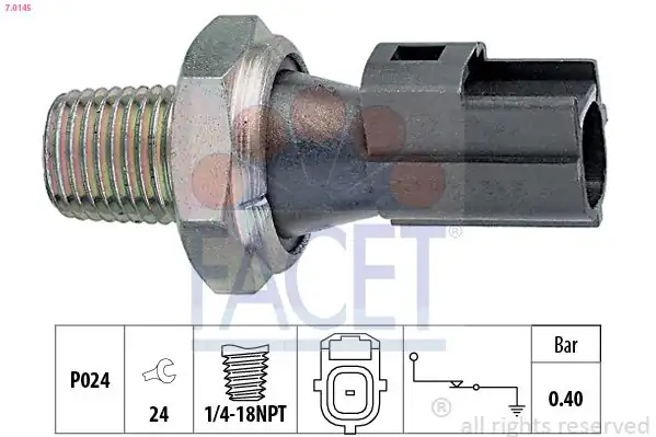 FACET 70145 | Yağ Müşürü Peugeot Boxer III Citroen Jumper III Ford Transit V347 22 Puma