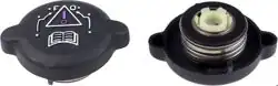 RAPRO R66118 | Yedek Su Depo Kapağı P106 P306 P405 P406