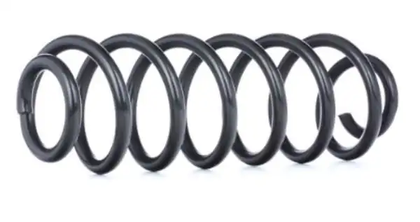 FROW HELEZON 4301233002 | Helezon Yayı Arka Volkswagen Passat 20 FSI 05 10 2 Adet