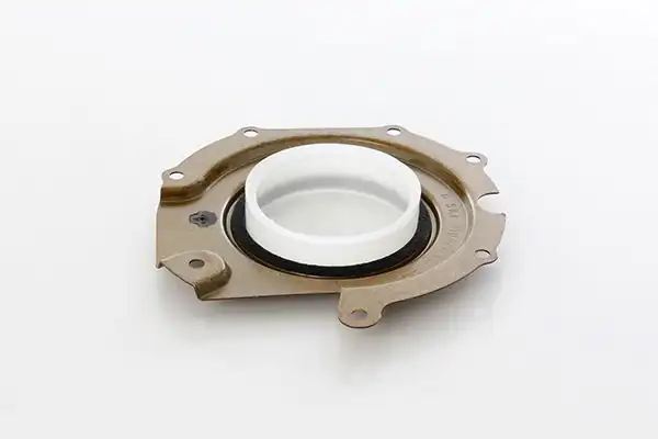 BSG 30-116-125 | Mazot Pompa Keçesi Focus Connect 1 8 TDCI 03