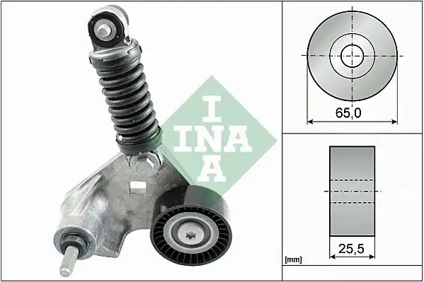 İna 534016910 Alternatör V Kayış Gergi Rulmanı Kiti Mondeo III 2 0tdci 2 2 TDCI V184 2 0tdci 01 06 Klimalı Jaguar X