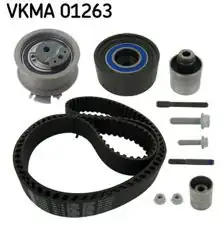 SKF VKMA01263 | Triger Tk 04-Golf.V.VI-Jetta-Passat-Tou-A3-A4-A6 2.0Tdi
