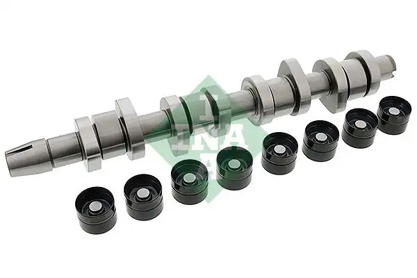 İna 428004230 Eksantrik Mili Seti VW Passat Caddy T5 A3 1 9 TDI AXB Axc AVF Awx BJB BKC