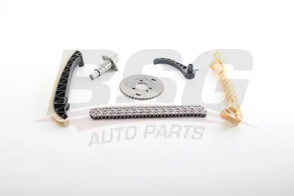 BSG 60-102-013 | Eksantrik Zincir Seti W169 245 M266 04 11