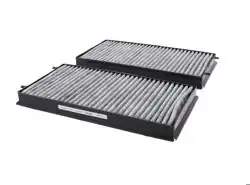 CORTECO 21652851 | Klima Filtresi E-65 Çiftli Karbonlu