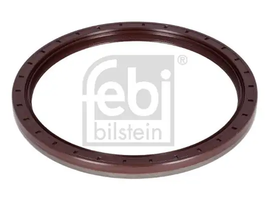Febi Bilstein 29875 Krank Arka Keçesi 154x180x12 Daf Xf95 Cf85