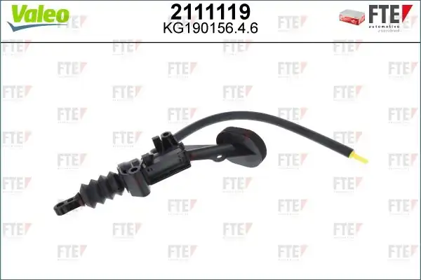 FTE 2111119 | Deb. Ana Merkez Ford