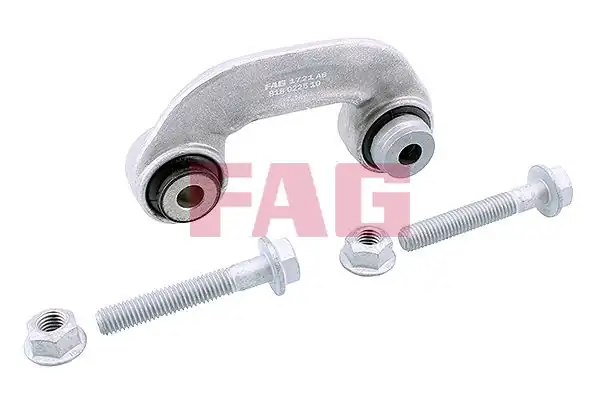 FAG 818022510 | Viraj Askı Rotu VW Passat A6 C Rot Sağ