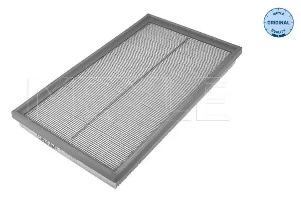 MEYLE 0120940062 | Hava Filtresi 113 M CLK 430