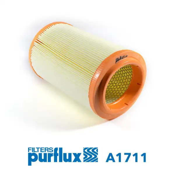PURFLUX A1711 | Hava Filtresi Kia Bongo K2500 03 K2900 2008