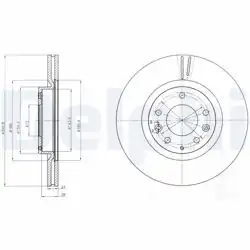 DELPHI BG4316 | Fren Diski (Çiftli Paket) , Delikli