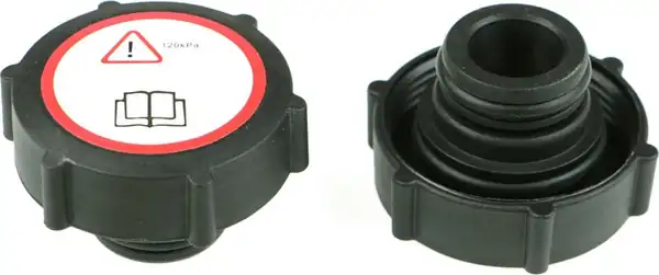 Rapro 66128 Genleşme Şişe Kapağı Ford Mondeo İ III Transit Focus 93