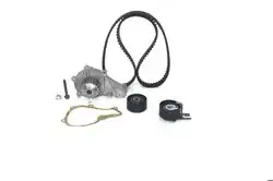 BOSCH 1987948721 | Triger Seti+Devirdaim Focus, C-Max, 206/307/407, C4, Berlingo 1.6 HDI/TDCI 03-14