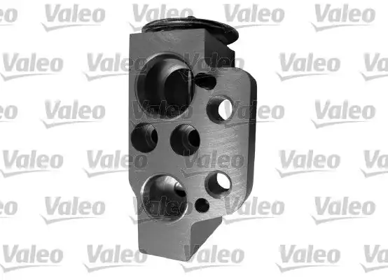 Valeo 509901 Genleşme Valfi Audi A3 2003 Seat Leon II Toledo 2004 VW Golf V Jetta 2005 Passat 2005