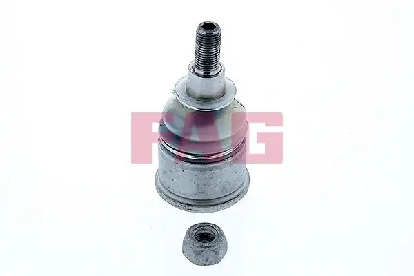 FAG 825042610 | Alt Rotil Accord Benzinli 03 08