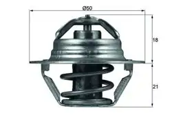 MAHLE TX10089D | Termostat 89°C Renault Clio II Kangoo Megane II Dacia Logan 1.4 1.6