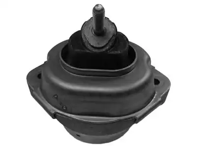 CORTECO 80001082 | Motor Takozu Bmw X5 E53 3 0d M57 M57n 00 06