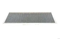 BOSCH 1987432425 | Polen Filtresi 00-X5 (E53)