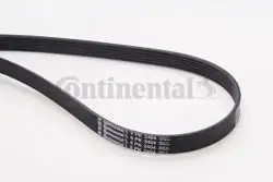 CONTINENTAL CTAM 6PK2404 | V Kayışı VW Passat B5 2.5 TDI Audi A4 A6 A8 97-05