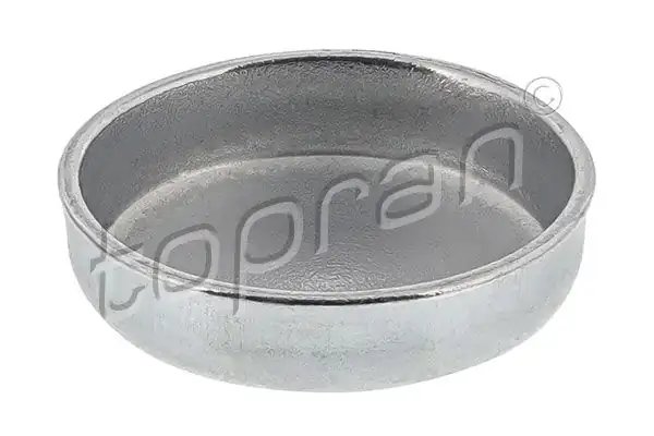 TOPRAN 206742 | Blok Su Tapası 18mm Peugeot 206 307 407 Citroen C4 C5 Opel Astra F G 10 Adet