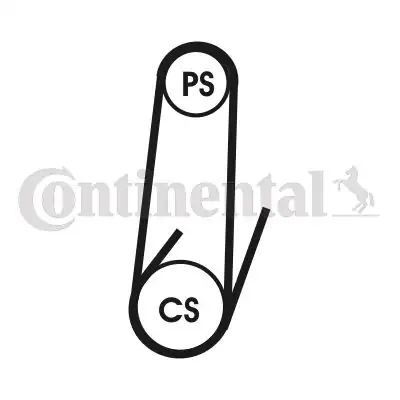 Continental Ctam 4pk1102elast Kanallı Kayış Ducato Boxer Jumper Daily 3 0 F1c 06