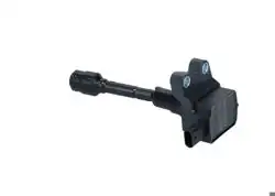 BOSCH 098622A216 | Ford EcoSport 1.0 Ecoboos Ateşleme Bobini Bosch Marka