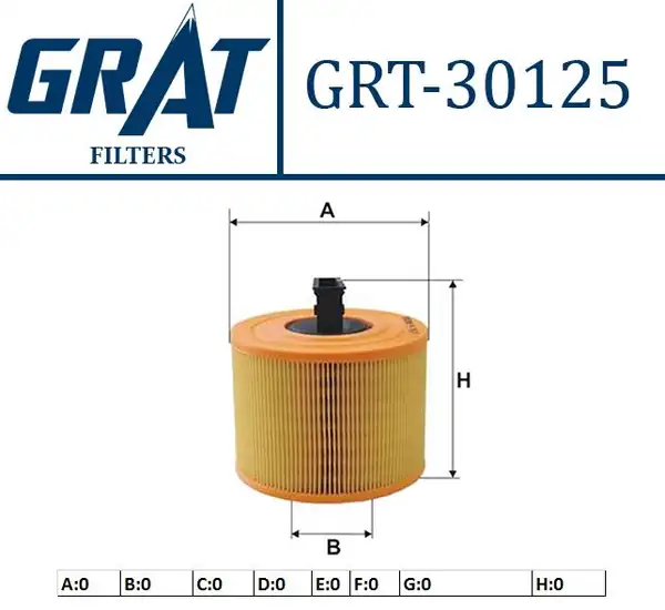 GRAT 30125 | Hava Filtresi Bmw N52 N53 E87 E90