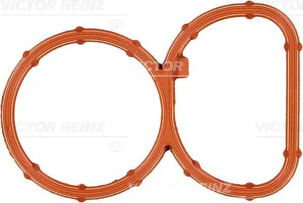 VİCTOR REİNZ 71-39378-00 | Emme Manifold Contası Bmw N47 E81 E93 X1 X3 11617801438 07