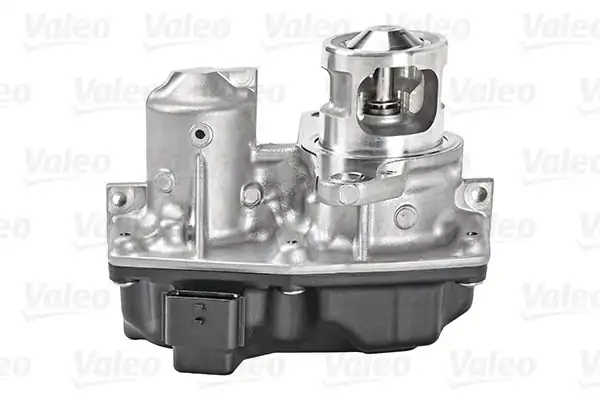 Valeo 700449 Egr Valfi Renault Megane III Fluence Scenic III Kadjar Talisman Nissan Qashqai X Traıl Mercedes W205 Vito W447