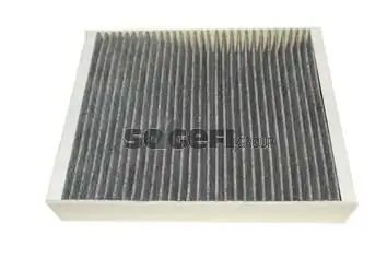 PURFLUX AHC373 | Polen Filtresi 12 1 Seri F20 F21 3 Seri F30 F31 F32 Ca