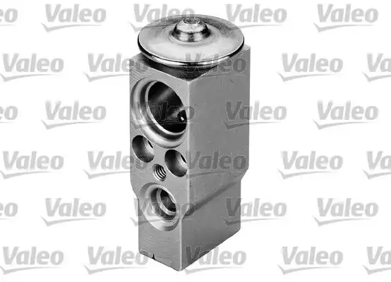 Valeo 509851 Genleşme Valfi Peugeot Citroen 206 307 C3 Xsara