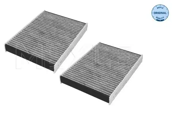 MEYLE 3123200029 | S Klima Filtresi G 11 12 30 31 Çiftli 312 320 0029 S