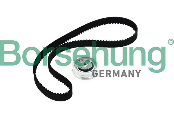 BORSEHUNG B10219 | Triger Seti Golf4 5 Bora Jetta Passat A3 Leon