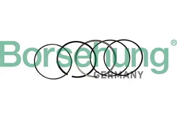 BORSEHUNG B10369 | Motor Segman Std 84 00 mm Bmw F20 F23 F30 F36 F07 F10 Takım N20 N26