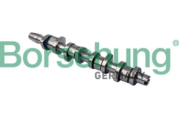 BORSEHUNG B11323 | Eksantrik Mili Çelik Audi A4 1 9 TDI 2 0 TDI Passat 01 08 Bke Brb Bpw Bgw İna 428 0130 10