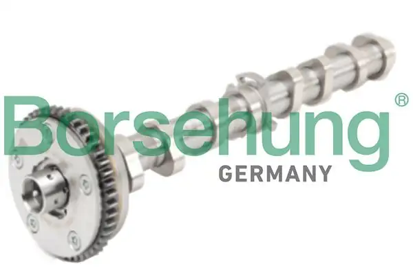 BORSEHUNG B18979 | Eksantrik Mili Emme 1 8 2 0 TFSI Golf Passat Jetta Passat CC Audi A4 A5